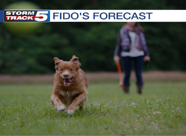 GARYAMBLEKCTV5's tweet photo. Nice day to take your dog for a walk. Your forecast at 4 PM. @KCTV5 https://t.co/DH9rqnOCDD