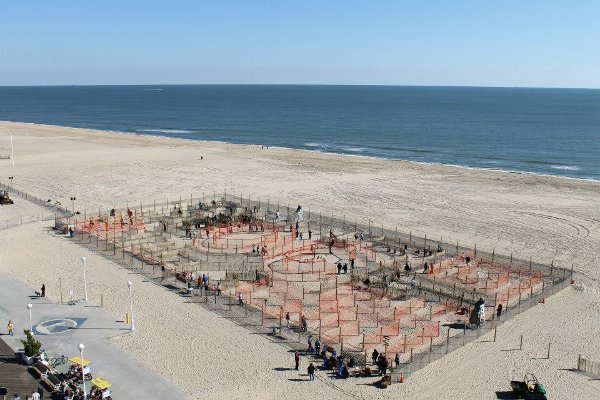 Visit Ocean City, MD tweet media