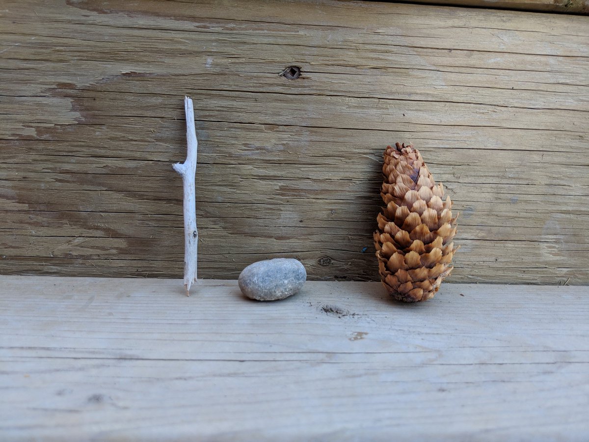 mrsscottperry's tweet photo. Stick, Stone and Pinecone: in the wild. @BethFerry1 #whenbookscometolife https://t.co/LfZfgLXLM4