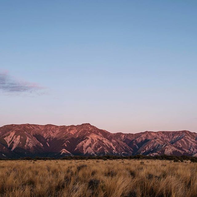 Watching those strange new stars over the rim of the earth, fleeing from the soft colour of dawn. #raybradbury