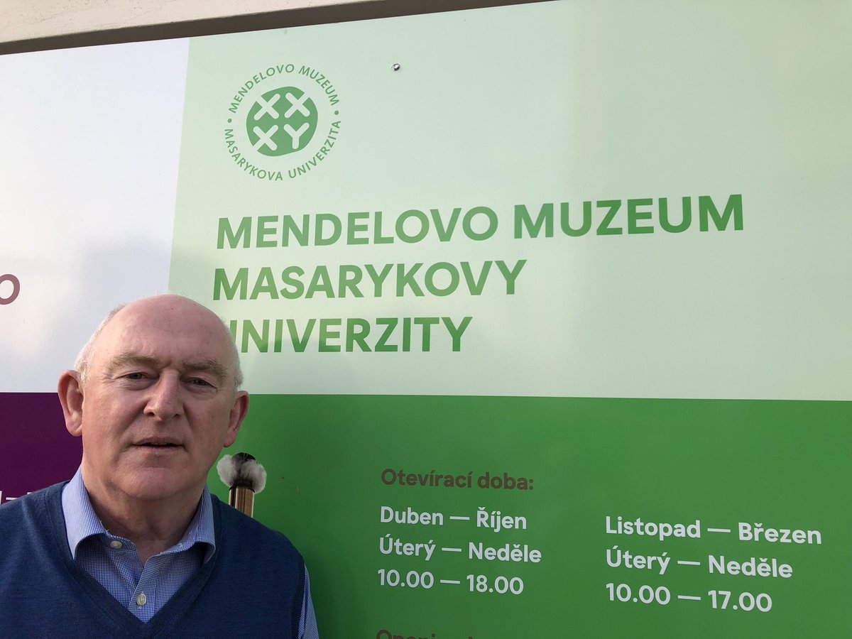 Sean McCarthy tweet media