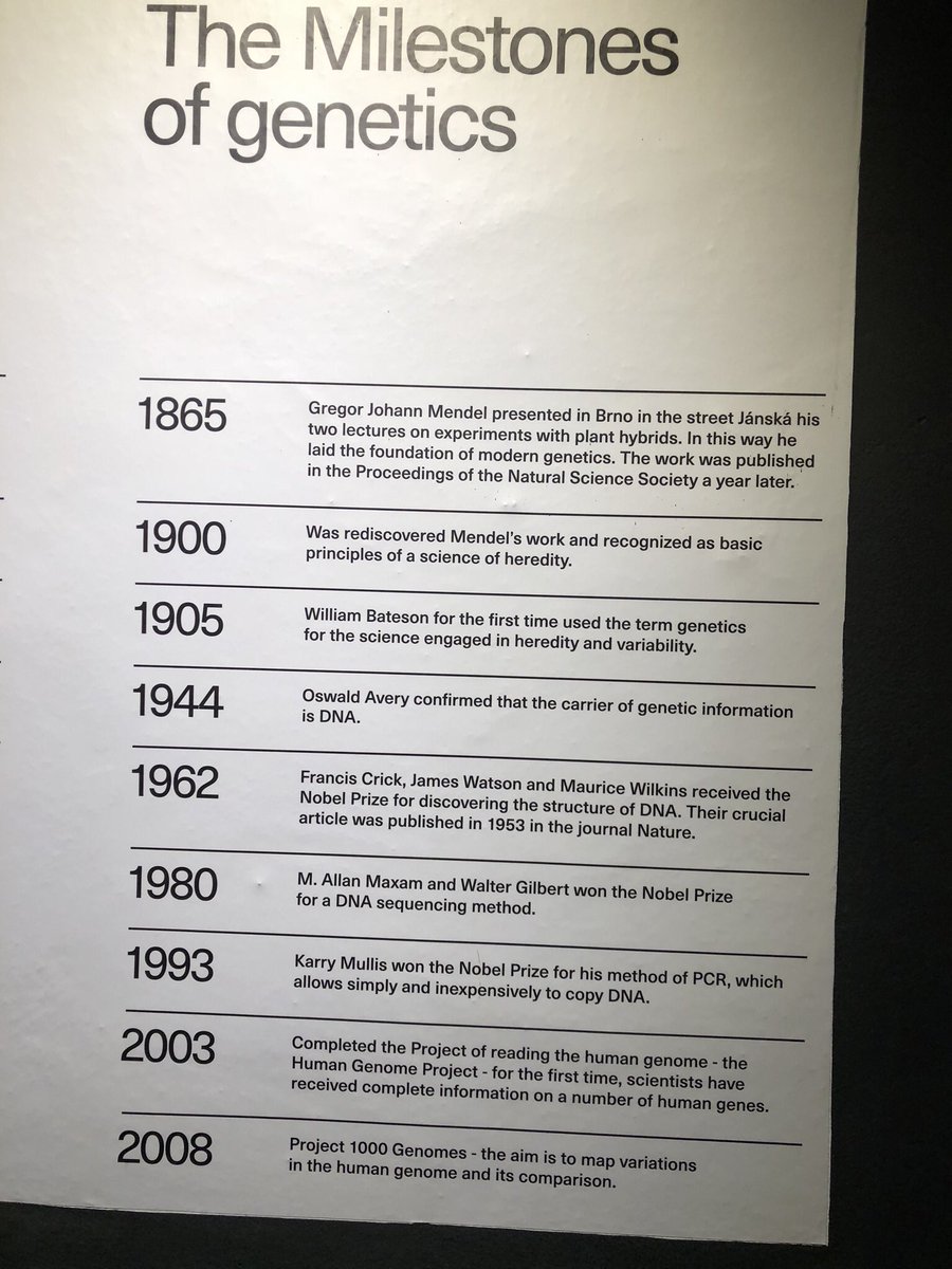 Sean McCarthy tweet media