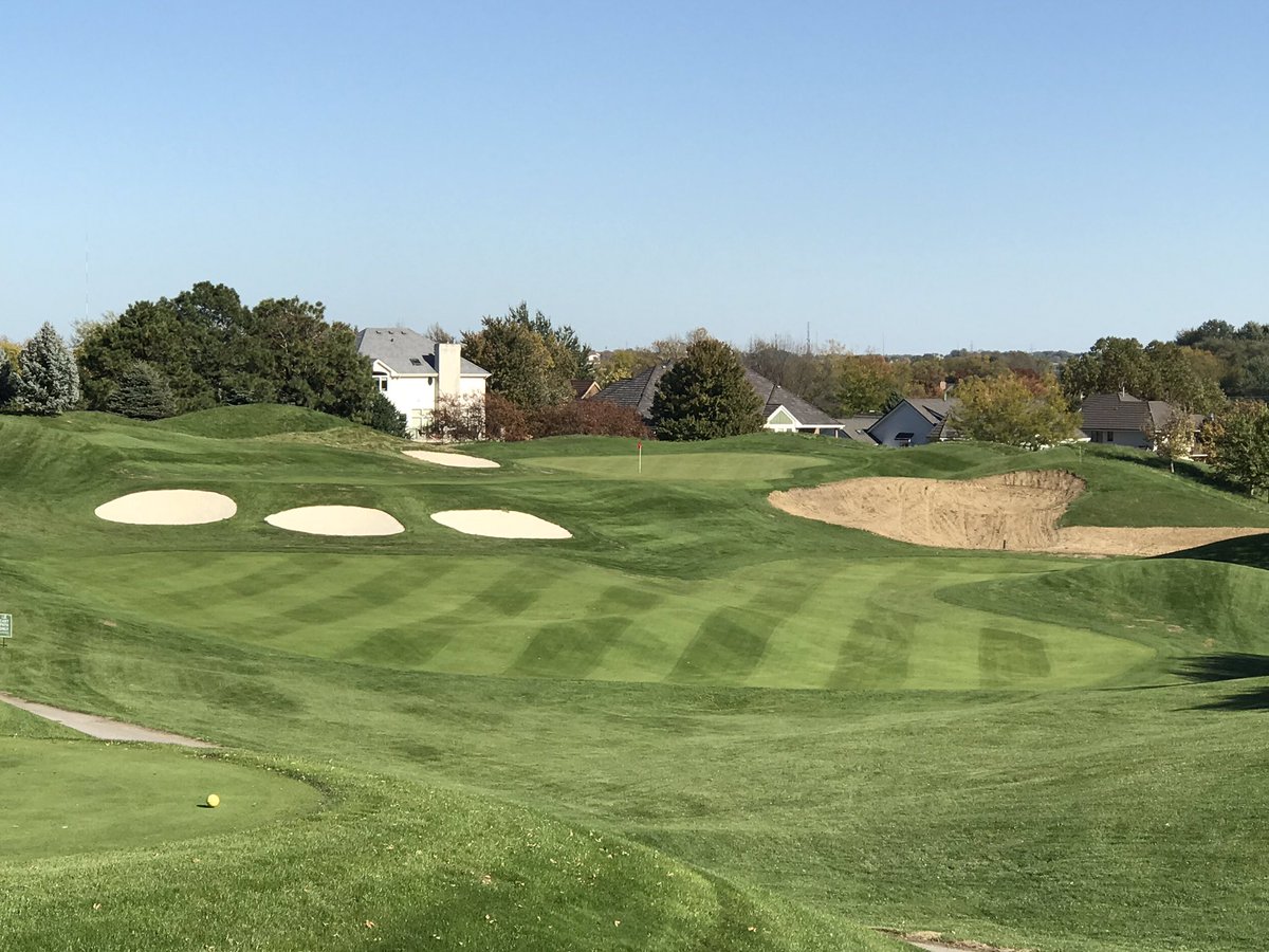 VIRIDITY tweet media