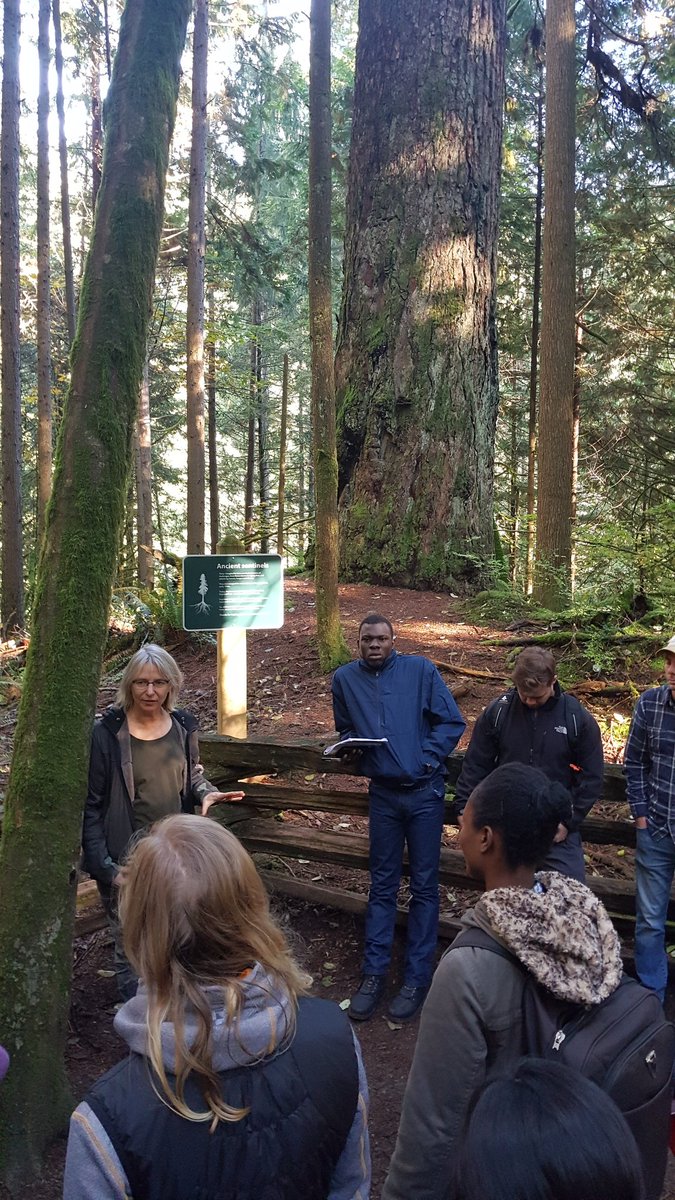Last week the MSFM class took a trip out to North Vancouver for some forest learning on the relationships between mycorrhizal networks, forest complexity, and ecosystem-based management from the director of the program, Dr. Suzanne Simard.
