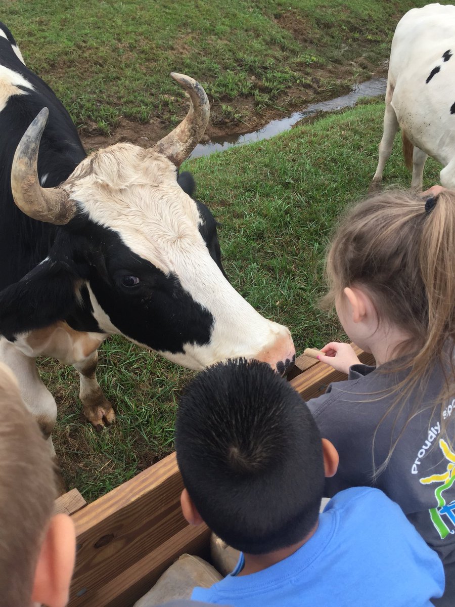 FarrsClassroom's tweet photo. #FarrsClassroom had a blast on our Fall Field trip to the farm. https://t.co/i9qhBjon8F