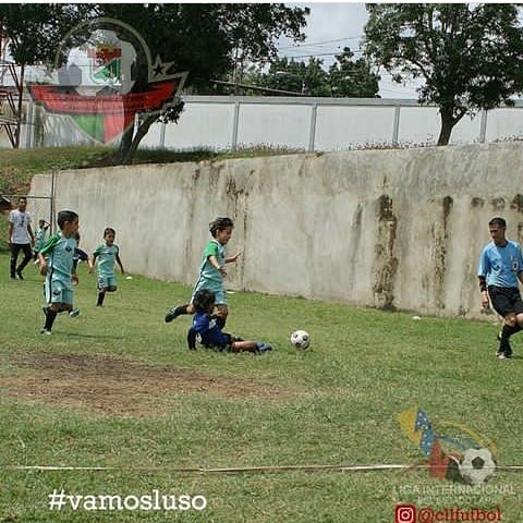ArbitrosFLara's tweet photo. En apoyo a la comision de arbitros de #FutboldeCampo nuestro arbitro #WillianD en la @ligainternacional en el encuentro #RioClaro vs #Luso en la enseñanza y Pedagogía de las Categorías #Sub6 #Sub7 y #Sub11
#SomosColarfutsal https://t.co/NMq4bvPI9a