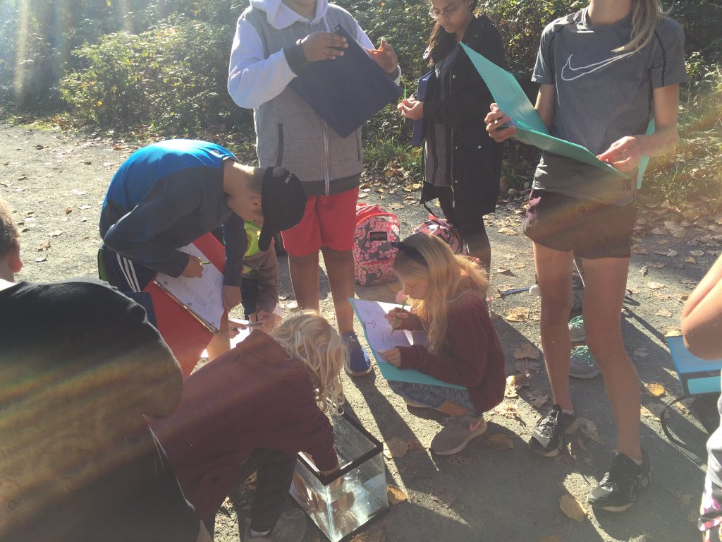 Streamkeeping and gathering real (reel) data! Learning in this beautiful place we call home! #grade7adventures #sd33learns #streamkeepers #outdoorlearning #chilliwack #sharechilliwack