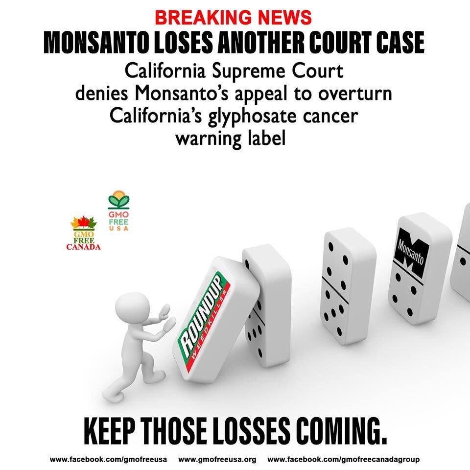 8extremes's tweet photo. Glyphosate KILLS Weeds
PlantLife EcoSystem
Children NowHave Chronic Diseases
LeakyGut IBS AcidReflux ADHD
#glyphosate Disrupts #ShikimatePathway
#monsantoKNEW #monsantoPapers #abtTHAT #DumpTheJunk
https://t.co/AfFCPxZbIC https://t.co/uXioMGe6VK