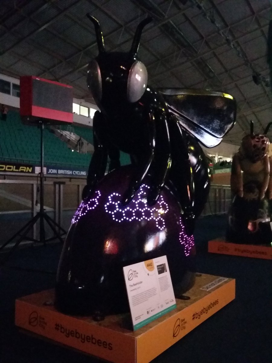 The_Beeholder's tweet photo. I'm usually in the bars @firststreetmcr at this time but tonight I am being auctioned @beeinthecitymcr https://t.co/0SvW3u66G7