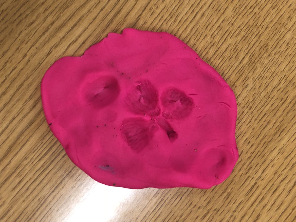 RoneyAndrea's tweet photo. Today students used what we’ve learned about fossils and how they’re created to identify each other’s fossils! Some required a lot of inspection and hypothesizing to figure them out! 🧐😁#ChelseaPride https://t.co/FtKHc4MXIY