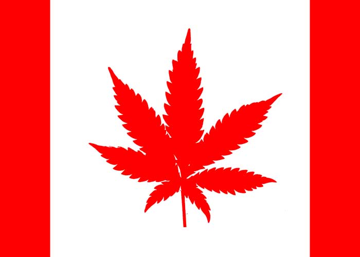 mmjresources's tweet photo. Canada recreational sales began today, opening the door to potential that the entire world is watching. #cannabiscanada - https://t.co/ztLMY8a9s4 https://t.co/45WqiLsXET