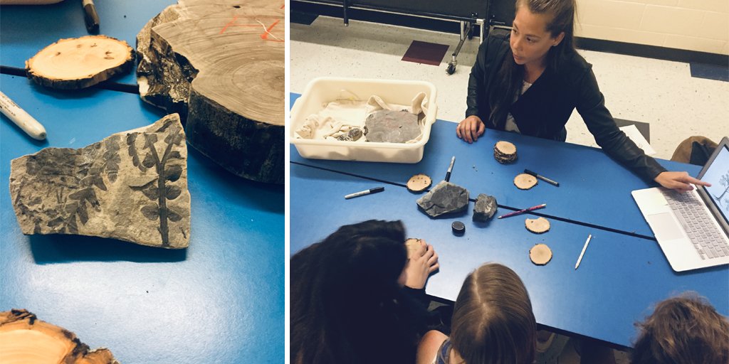 Mindie Paget (@mpaget) on Twitter photo In honor of #NationalFossilDay, sending a huge thank-you to #paleobotany grad student Taryn Dunivant of <a href="/KUEEBGSO/">KU EEB GSO</a> for teaching my 7th-grade <a href="/girlscouts/">Girl Scouts</a> what we can learn from 235 million-year-old fossilized tree specimens from Antarctica. #STEM In honor of #NationalFossilDay, sending a huge thank-you to #paleobotany grad student Taryn Dunivant of <a href="/KUEEBGSO/">KU EEB GSO</a> for teaching my 7th-grade <a href="/girlscouts/">Girl Scouts</a> what we can learn from 235 million-year-old fossilized tree specimens from Antarctica. #STEM