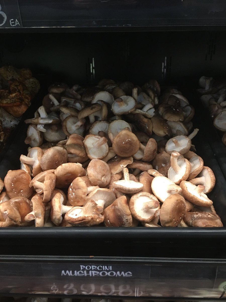 Oh hell no, America. #knowyourmushrooms