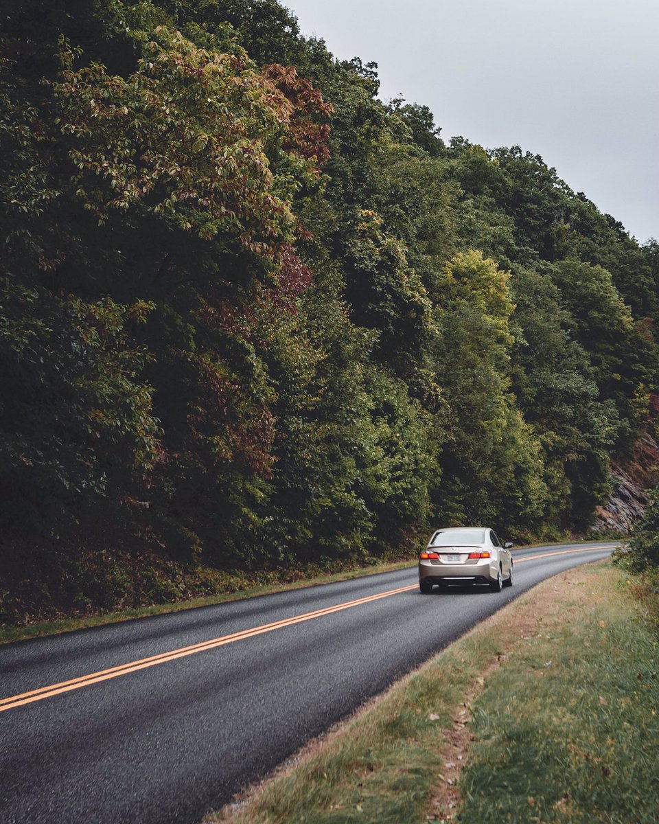 Reddening. 

#welivetoexplore #alltrails #naturelover #theoutbound #thegreatoutdoors #blueridgemoments #discover_carolinas #wildlifephotography #appalachian_explorers #killeverygram #createexploretakeover #aov #theblueridgers