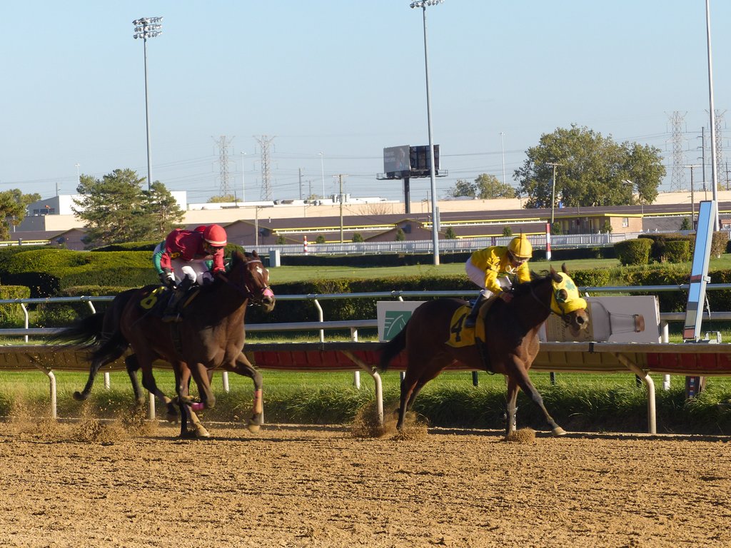 Picks & Ponderings (picksponderings) Twitter