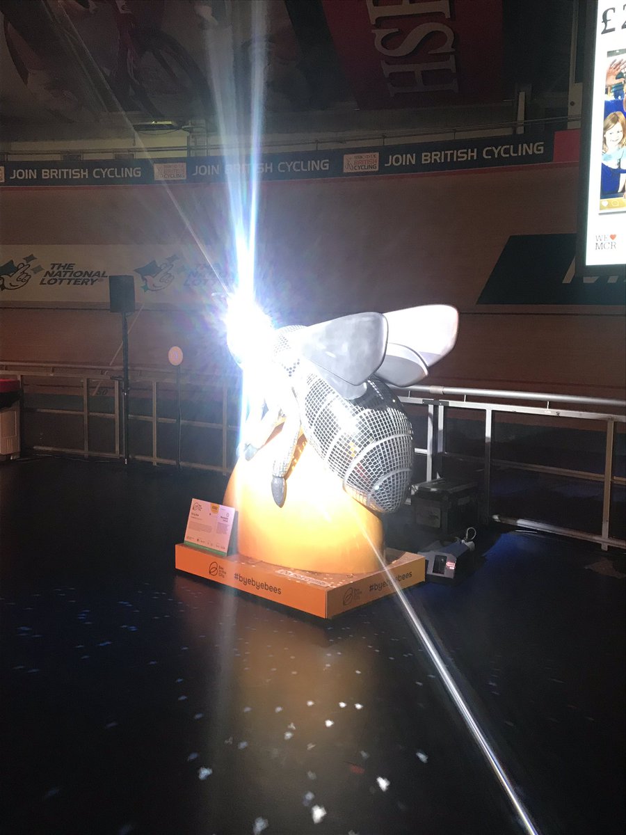 shaunhinds's tweet photo. Up next @beeinthecitymcr #byebyebees it’s the @mcr_central #blingbee - shining bright https://t.co/t0RhsrrCnk