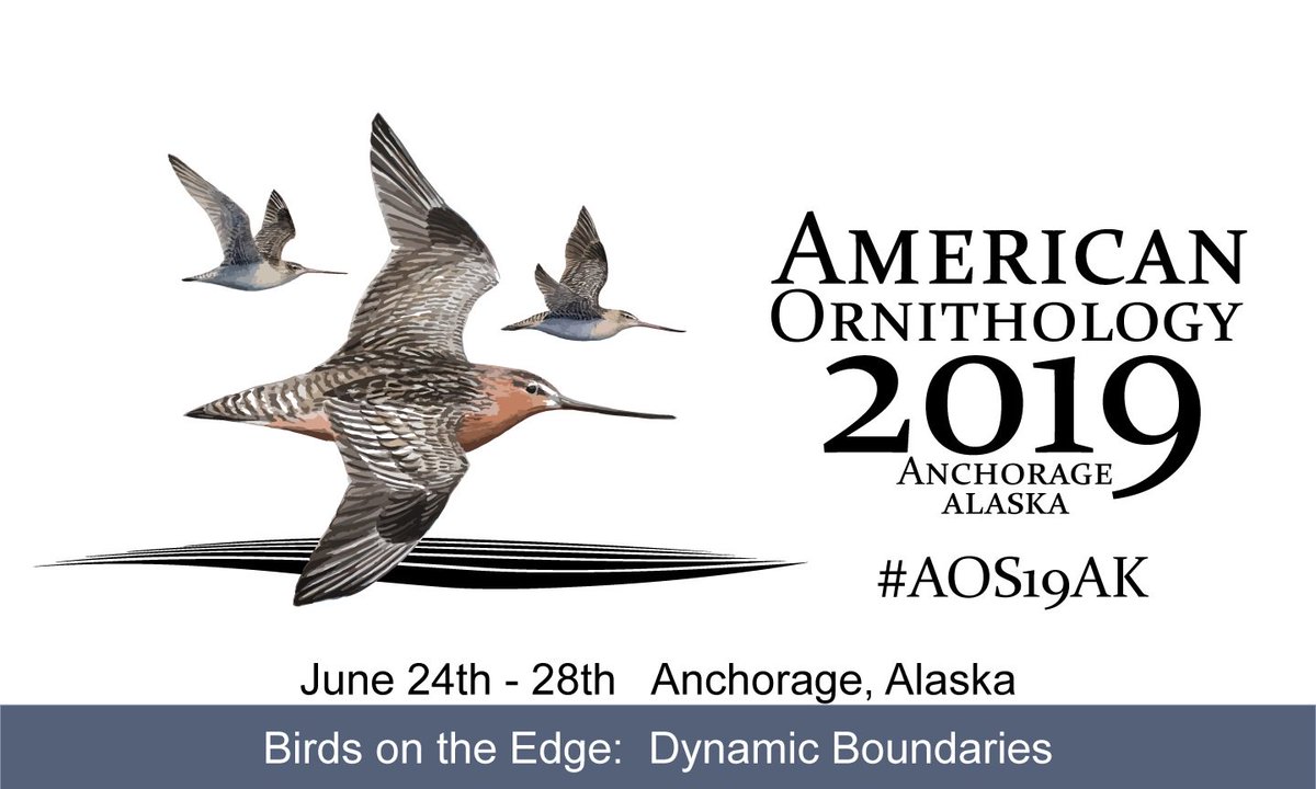 American Ornithological Society tweet media