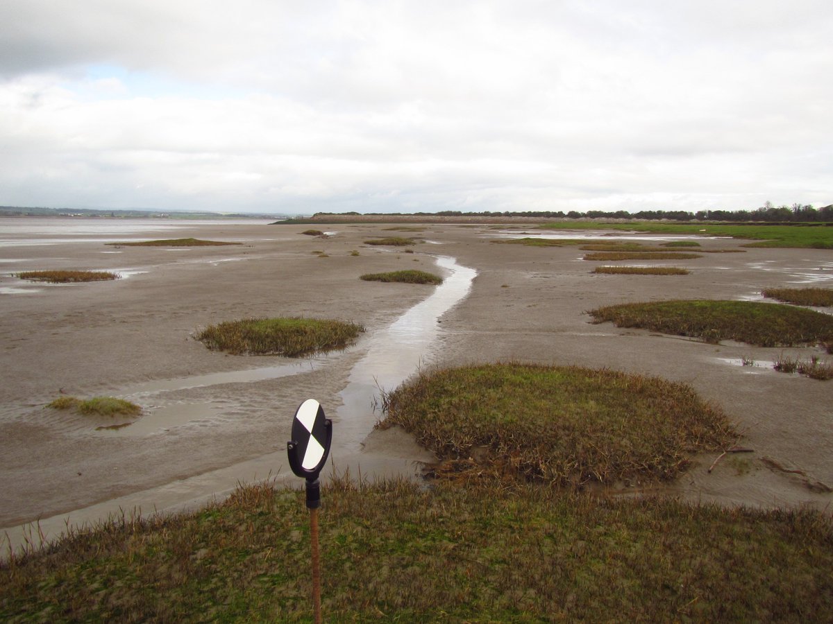 Guillaume Goodwin tweet media