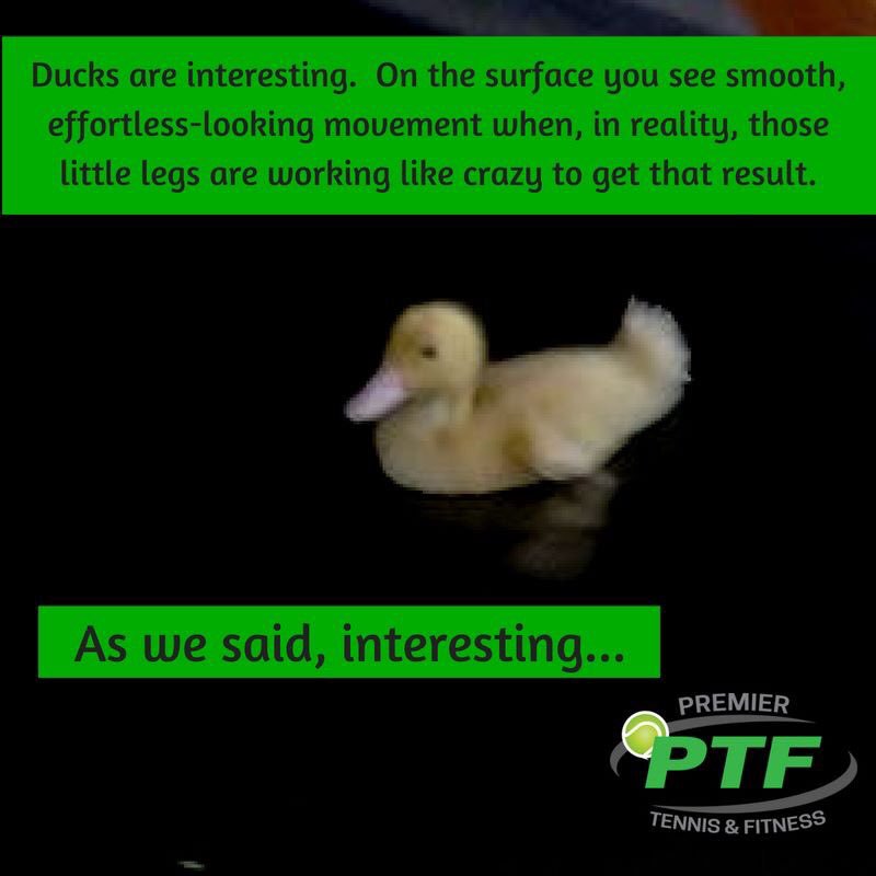 PTF Janesville (@ptfjanesville) on Twitter photo 