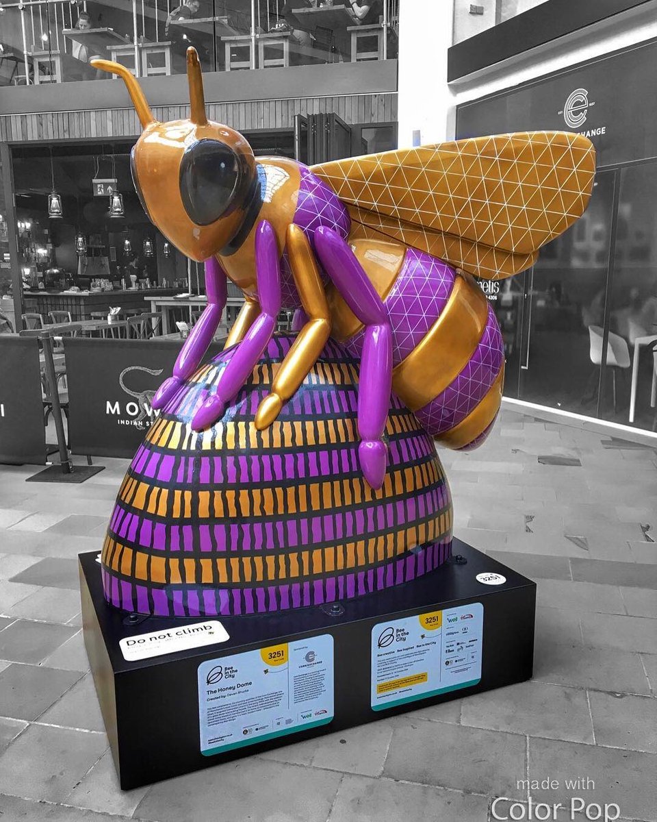 deven_bhurke's tweet photo. What an incredible night it is turning to bee (pun intended)!! More than £900000 raised and still going. So proud Rubee &amp; The Honeydome I created have jointly raised £26K for @beeinthecitymcr @wildinart Thank you @NandosUK and @cornexchangeMAN for sponsoring them!! https://t.co/p3Y9ClVfKl