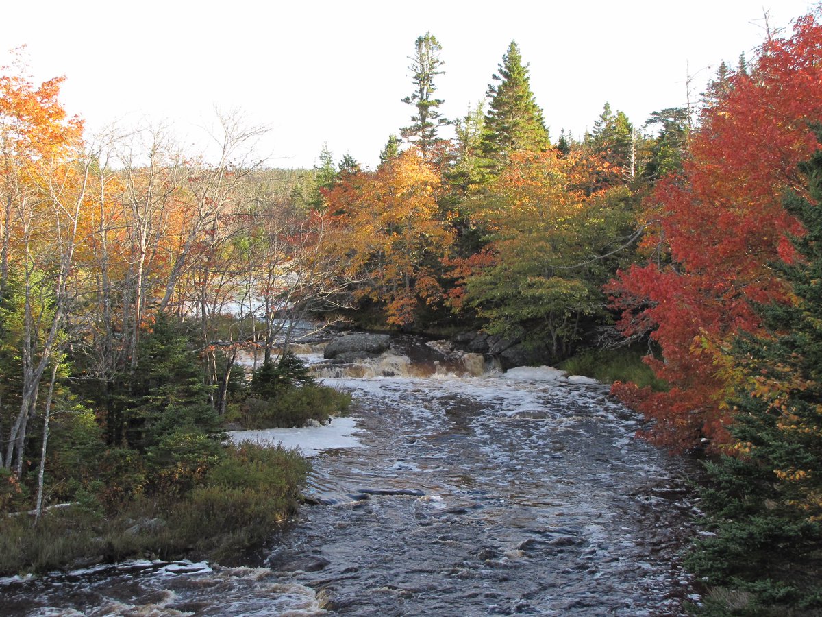 pacepat7_pace's tweet photo. #Liscomb lodge https://t.co/wt7EguZeH0