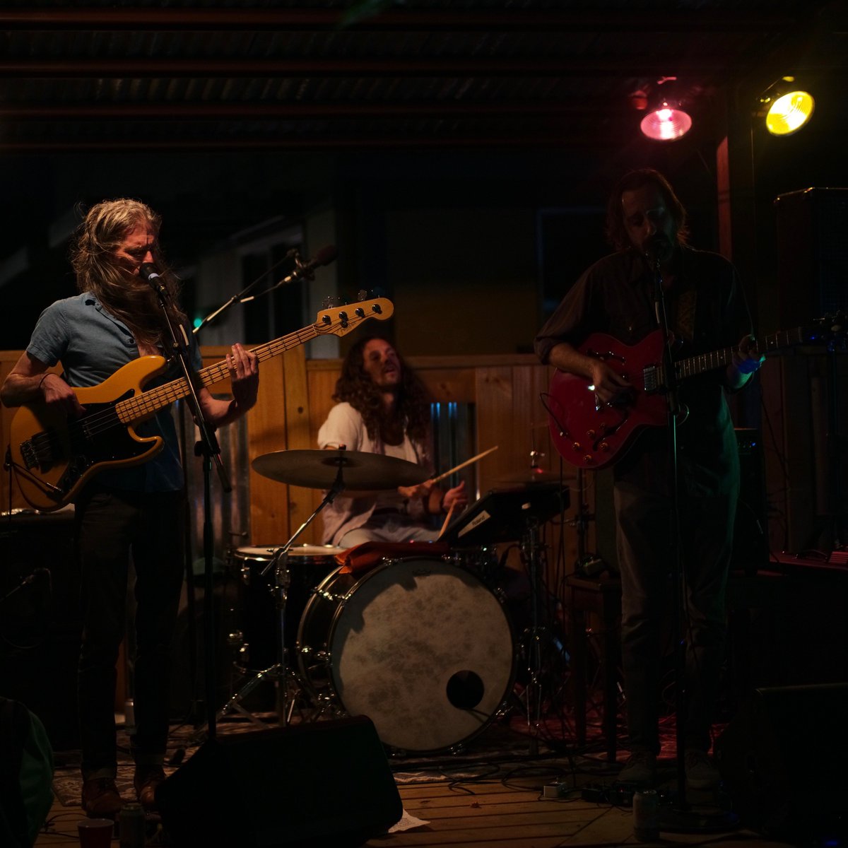 Feverbones tweet media