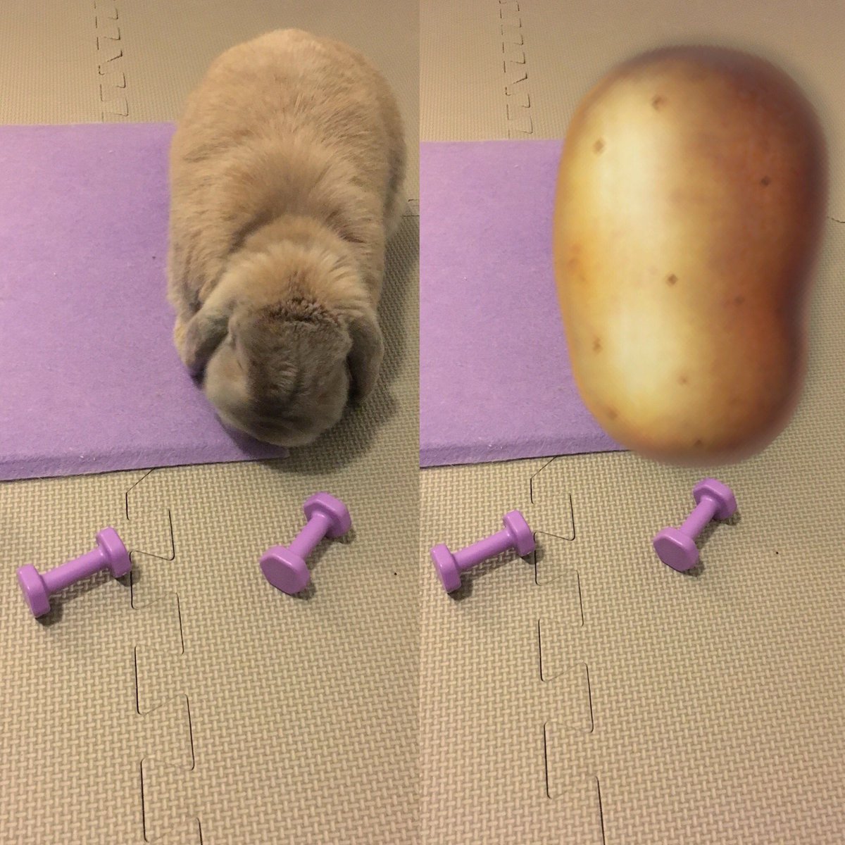 I’ve reached my final form #peakofperfection #fitnessmodel #fitnessmotivation #bodygoals #potatobod