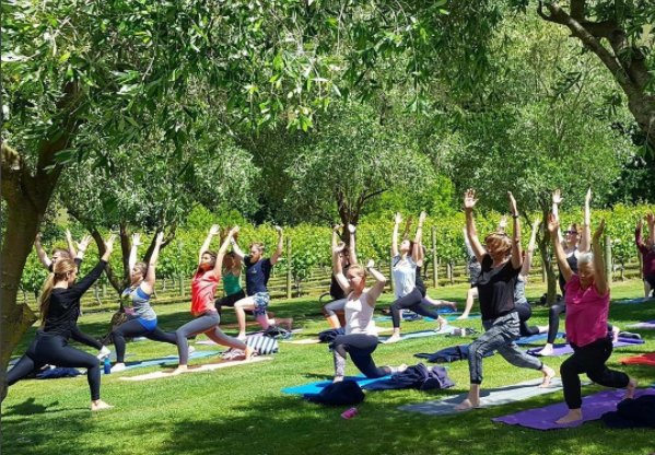 Ever wanted to do yoga in a vineyard? Join us on Sunday 11th November at 8:30am for Yoga in the Vines. Booking is essential - email info@craggyrange.com to secure your place #yoga #havelocknorth