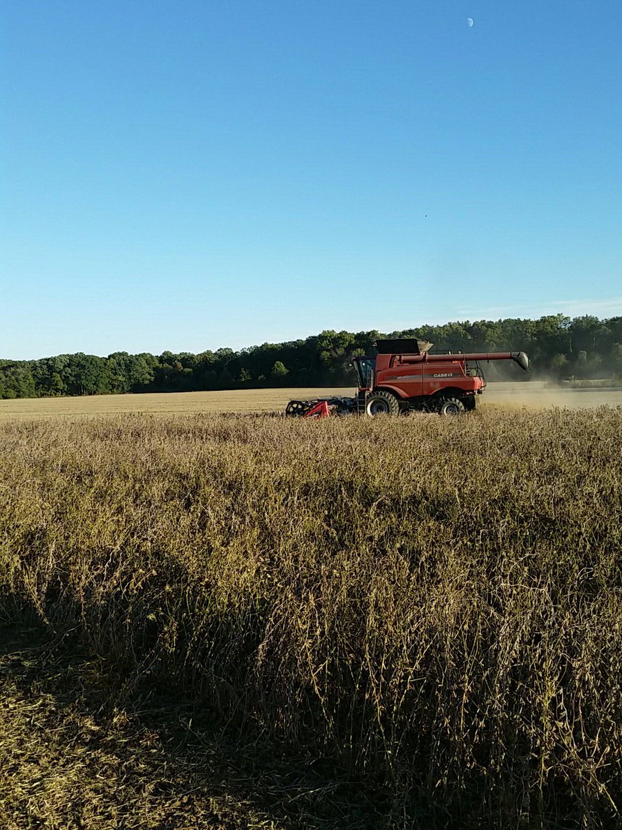 probstjake5's tweet image. Well the sun has been out all day and we still can&apos;t get a dry bean.