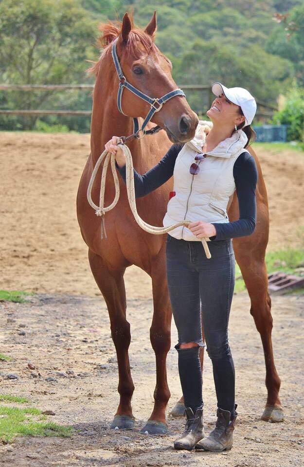 JemmaCutting's tweet photo. My friend Jo Purvis yesterday re-homed another OTT: #Jetwings, straight from the @GRyanRacing stable ❤️ 3x winner of $400k+! Well done @racingraphael @blakeryan86 for finding him a great home! Jetwings raced in Australia and Hong Kong. #offthetrack #exracehorse 🛩 https://t.co/NfMoJVFpeR
