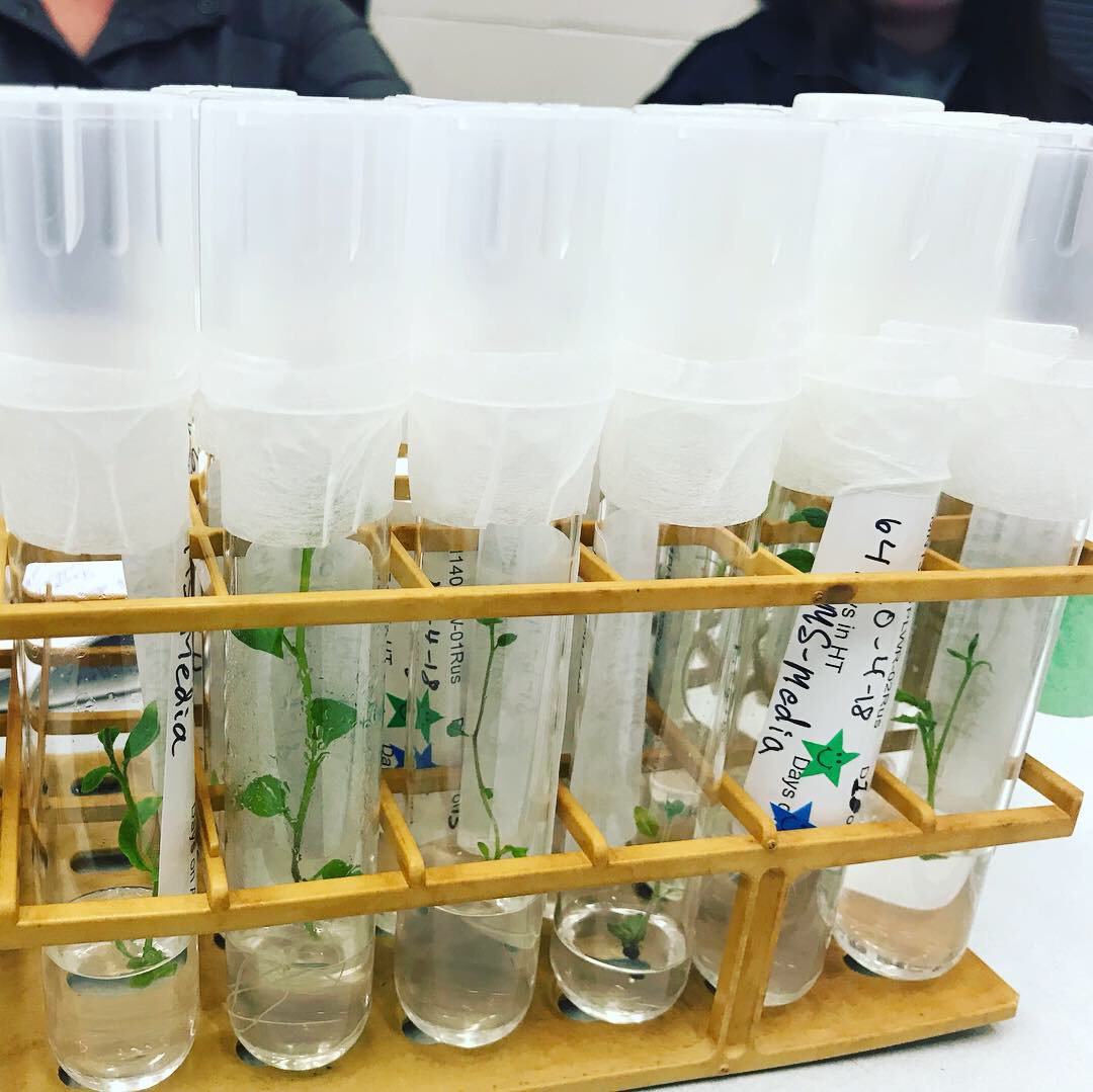 Shannon Lab tweet media