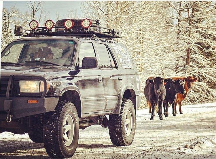 Don’t have a cow, man! 🐮 The Toyota 4Runner is a Prairie friend. #Toyota4Runner #MyPrairieToyota #BuiltForThePrairies

📸 @johannessteudel