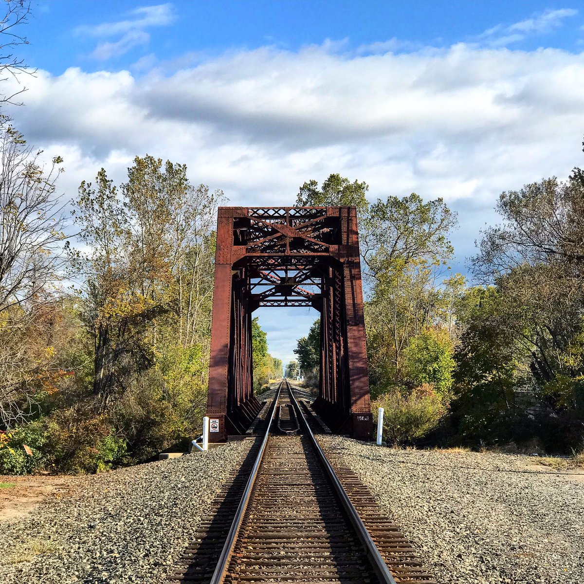 risapr1's tweet image. #TrainBridge 🚂🛤
#traintracks #railroad #railway #train #trains #downriver #michigan #photography