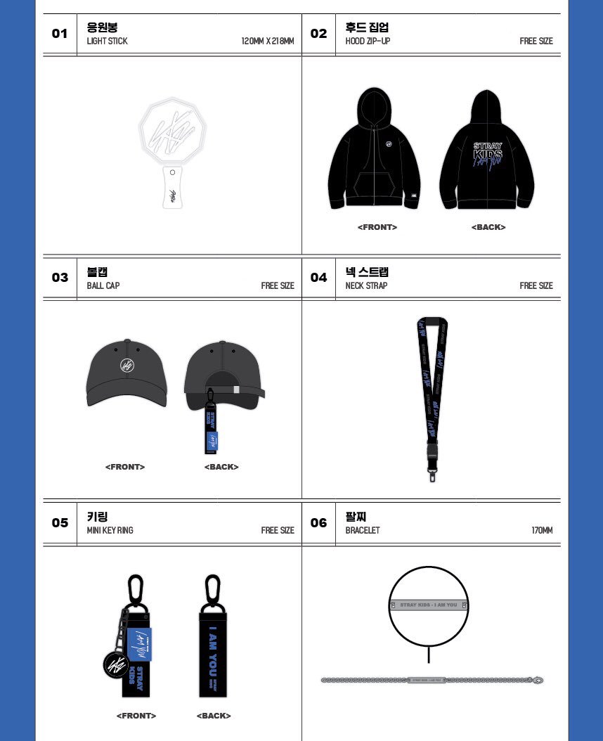 Straykids ペンライト ペンライトケース スキズ straykids ペンライト