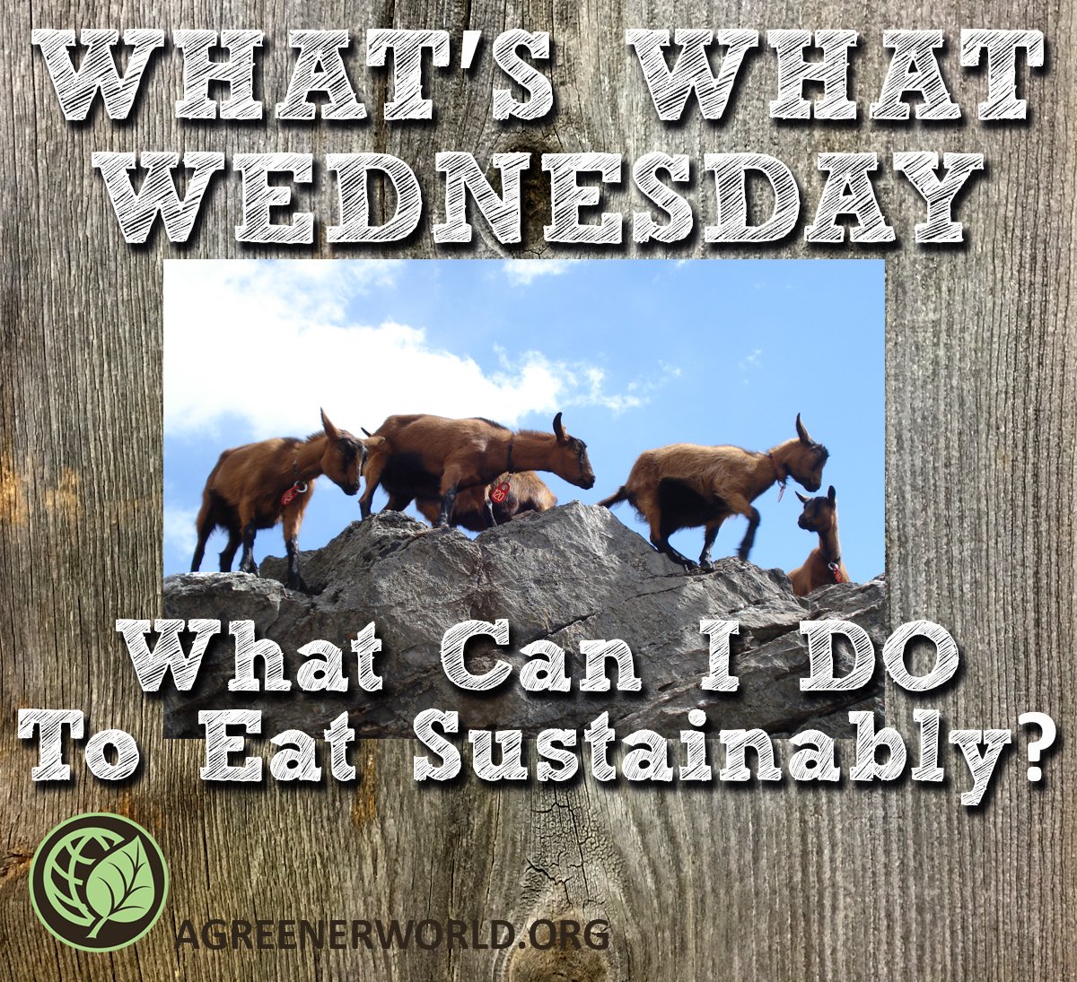 Feel like eating sustainably is a rocky road? Let’s travel together. AGW’s membership funds our work to keep meaningful food labels in the marketplace &amp; educate shoppers about food choices. We hope you’ll consider signing up--we can’t do it without you! agreenerworld.org/donate/