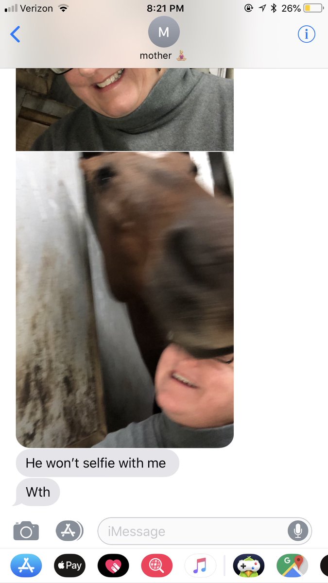 checklesseq's tweet image. my poor horse