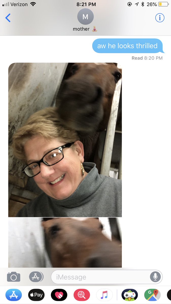 checklesseq's tweet image. my poor horse