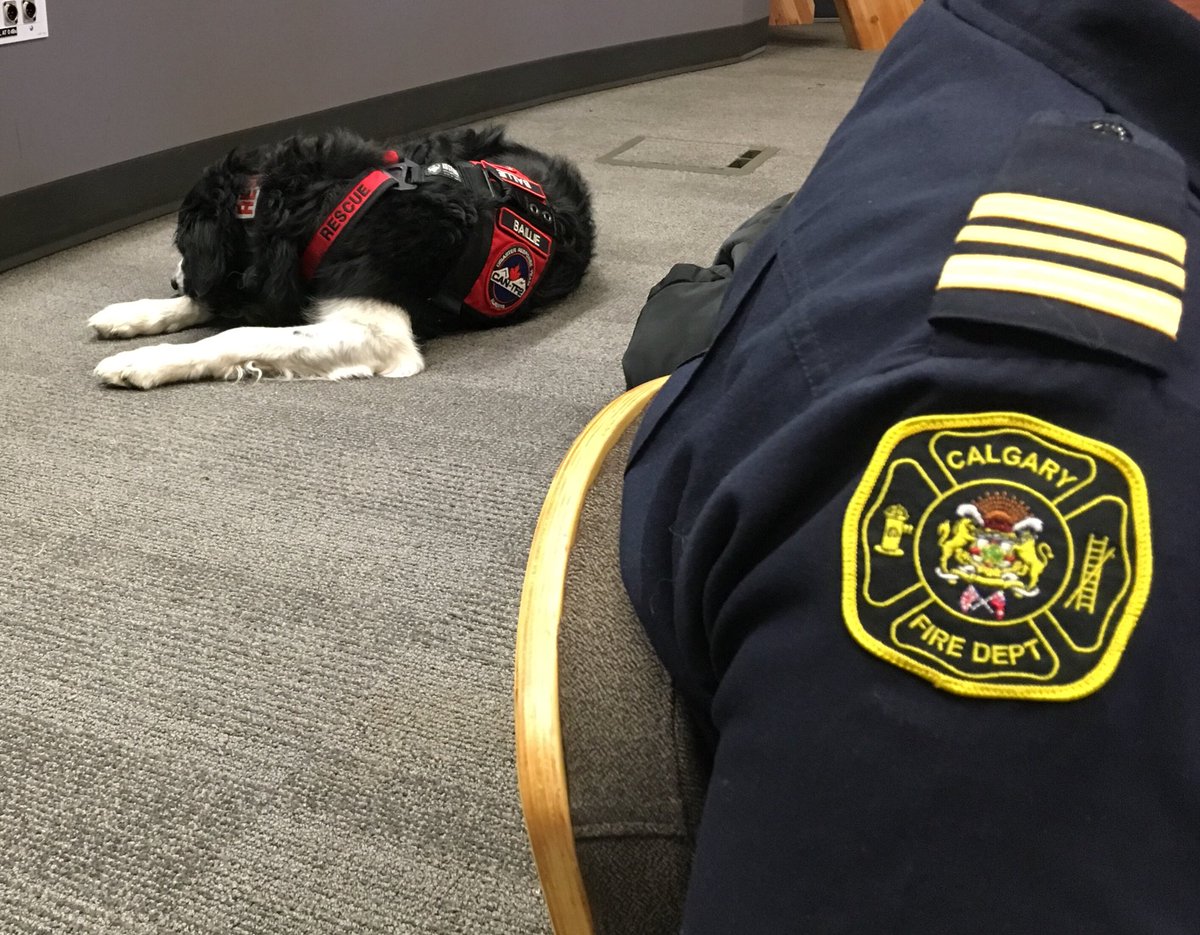 CanmoreFireRes's tweet image. TRAIN TOGETHER GAIN TOGETHER
Three of our members...(Okay two &amp;amp; #Baillie🐾!!)...are attending multi-agency Incident Command System training at the Calgary Emergency Operations Centre. #CEMA #ICS400 #ComplexIncidents #Partnerships #CommonLanguage #UnifiedCommand #MutualAid