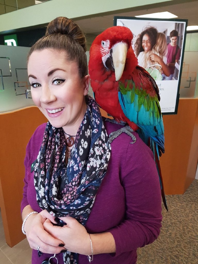 Team Prescott had a visitor today #Bestcustomer <a href="/PietroTD/">pietroborracci_td</a> <a href="/TaraLynnH_TD/">Tara-Lynn Hughes</a>