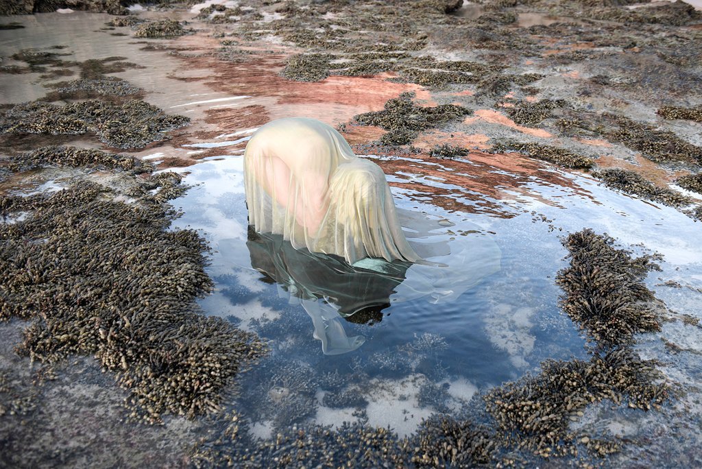 Final days 'Oceans from here' closing this Saturday. Don't miss it! acp.org.au/collections/wh…