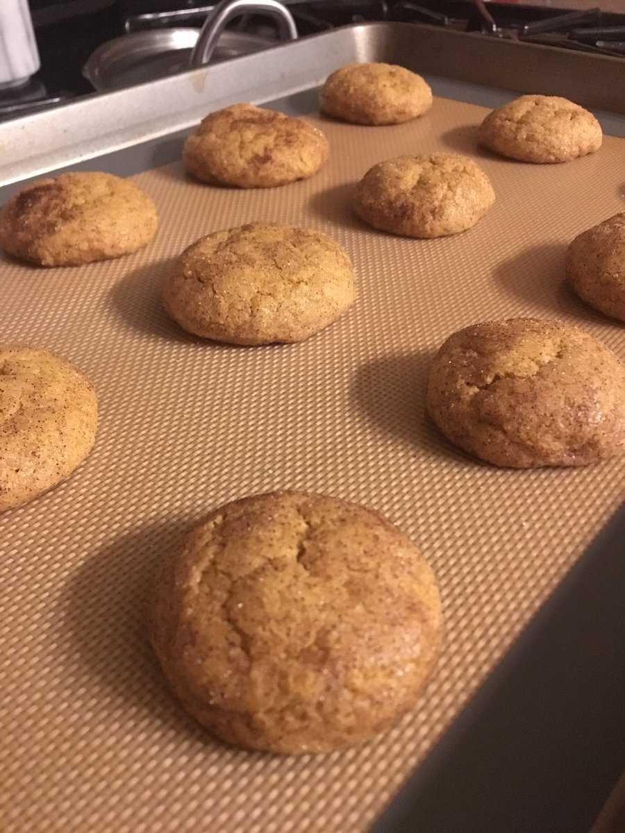 Pumpkin snickerdoodles > studying #ripdpt