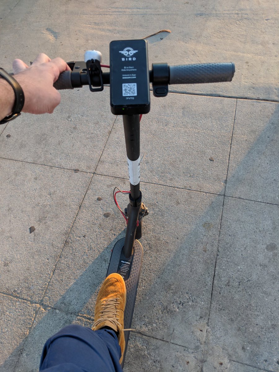 The best way to go for a walk in Venice 😂