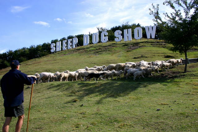 ruraldirections's tweet photo. NEW JOB VACANCY - SHEPHERDS (3) - JAPAN - APPLY NOW!
https://t.co/2obB6nk0UW
#agchatnz #nzfarmingjobs #nzfarming #ruraljobs #farmjobs #nzjobs https://t.co/OcixU6M3qp