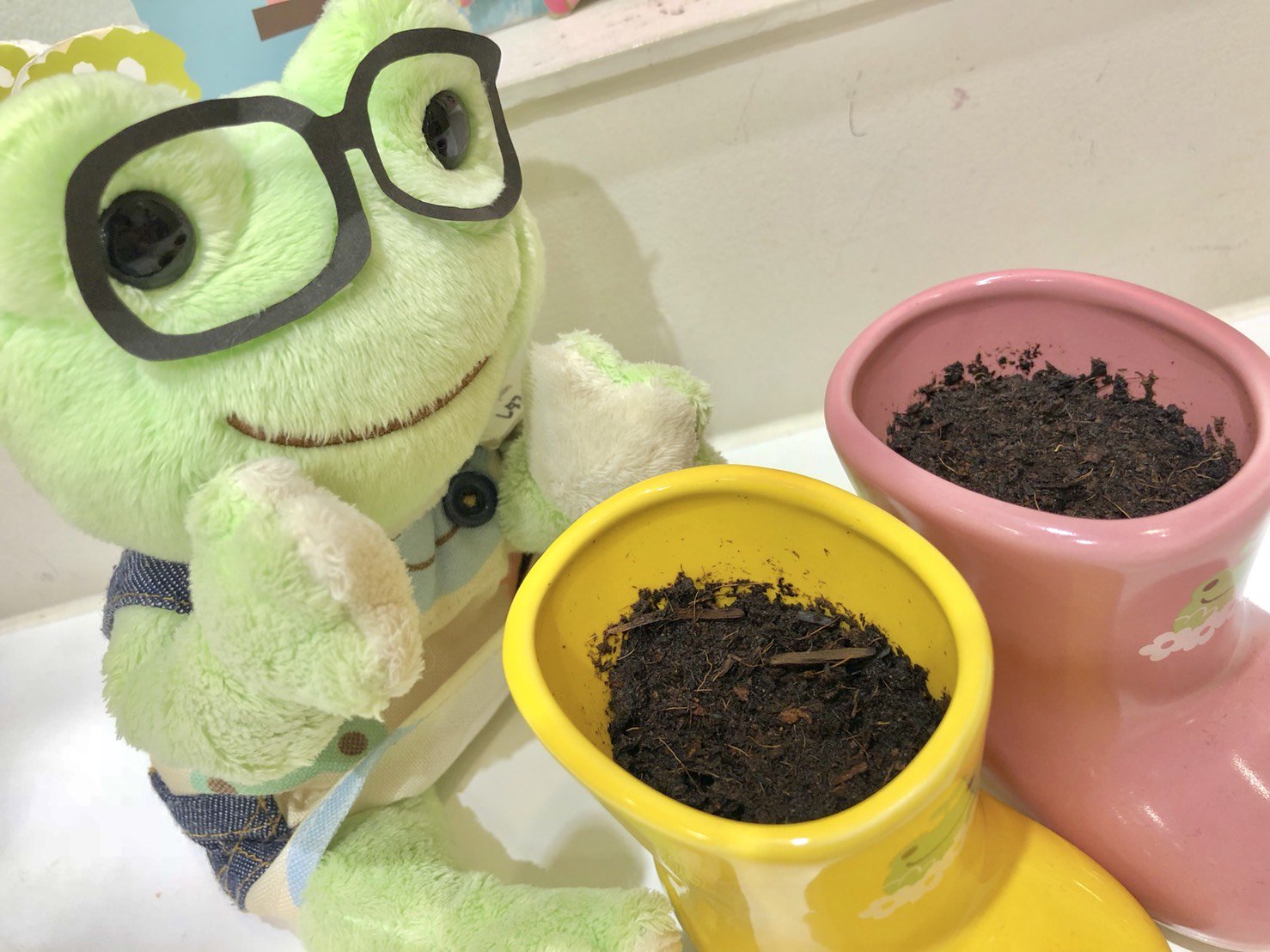 La Villa De Pickles レタスの観察日記 声をかけ続けますが まだレモンバームとワイルドストロベリーは土の中から出てきません けれど クローバーは元気に成長中です 心配していた土の白いカビのようなものも お客様から頂いた石の効果