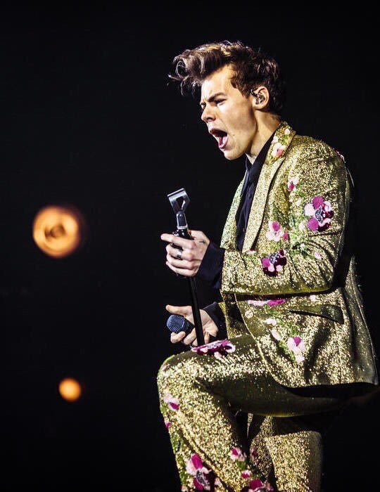 lovingantidote's tweet image. all i see is gold
all i see is gold 💛⭐🌻