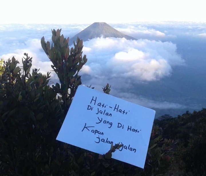 ipan_xo's tweet image. jangan di rumah terus!!
indonesia itu indah 
#Indonesian 
#gunungsumbing3371mdpl
#pendakiindonesia
