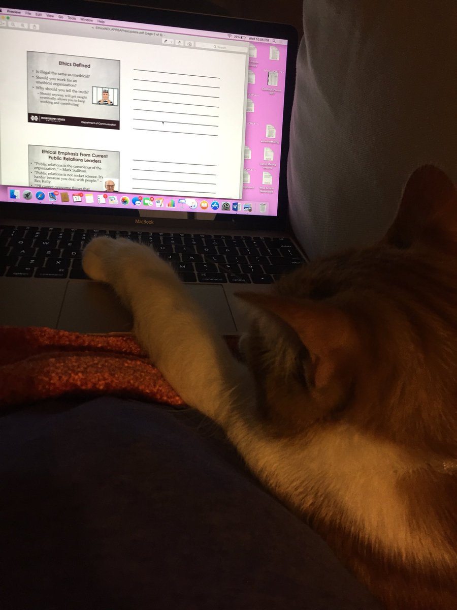 jenmarroy's tweet photo. #MSUPR #ceasar On days when I’m not feeling my best, I can always count on Caesar to be by my side whether we are doing homework or reading a book 🐈🐈🐈 https://t.co/SF79MPUZD7