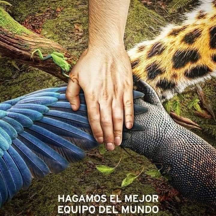 InspiraChiapas's tweet photo. Hagamos el mejor equipo del mundo. #Chiapas https://t.co/S33G6RTeNE