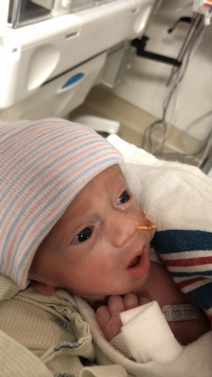 uh_palau's tweet photo. My baby boy came earlier than expected, but he’s definitely a trooper just like his mama. There’s nothing I wouldn’t do for you and this family. Everybody welcome our handsome little miracle baby Isaiah Nathaniel Palau 👶🏻💙 https://t.co/BML0vFkKsz