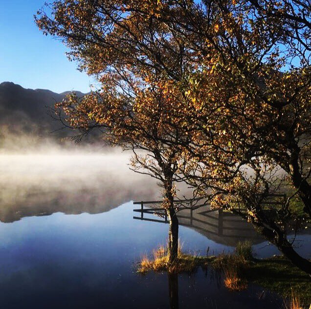 This morning blew my socks off... 😍 #treeday
